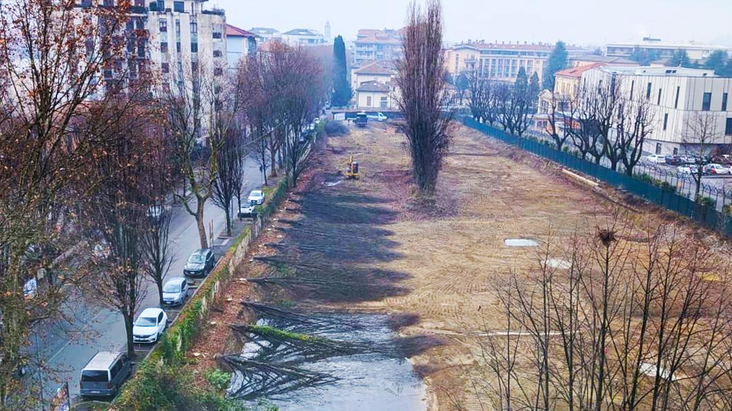 Bergamo, le ruspe abbattono gli alberi per fare spazio a un parcheggio: inascoltate le proteste dei residenti