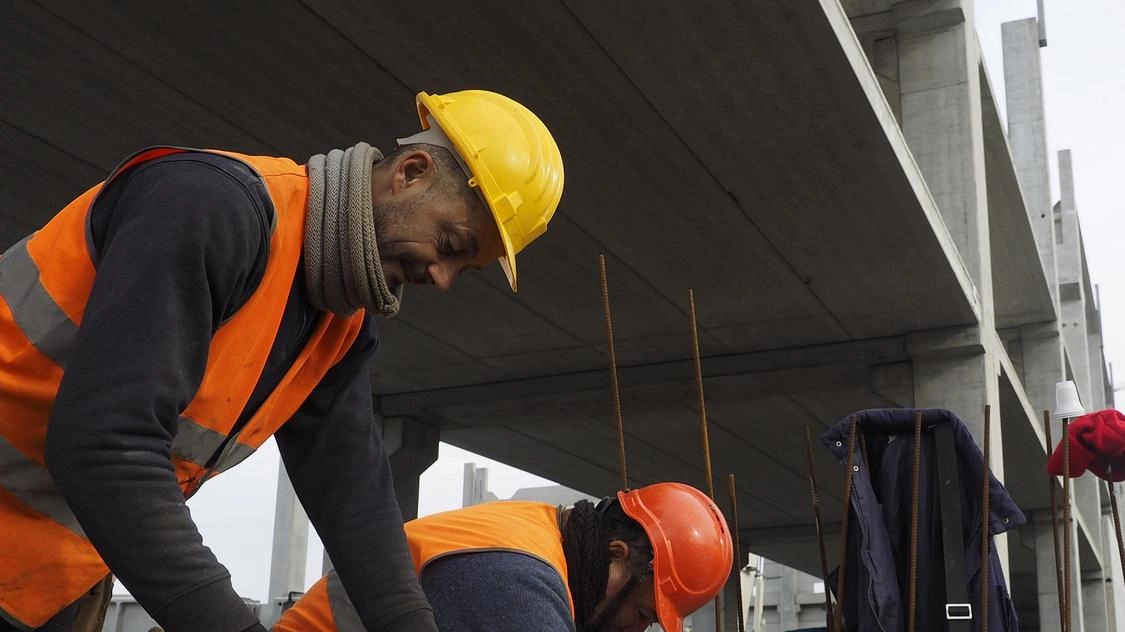 I comitati lanciano l’sos per il consumo di suolo intorno a Malpensa a favore di poli logistici