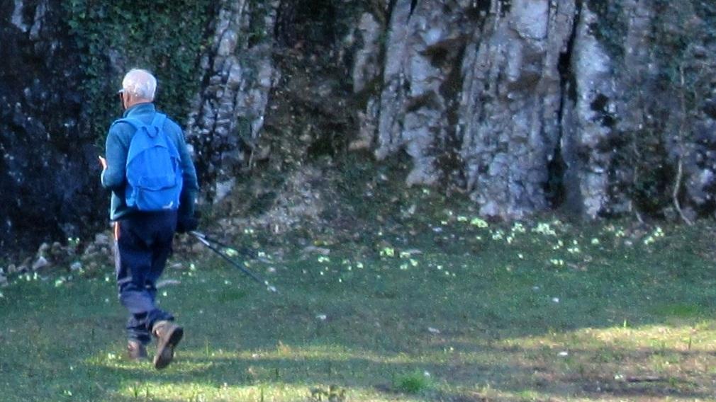 Passeggiate per le famiglie nella natura