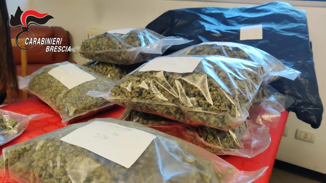 Leno, l’artigiano con il vizio della droga: a casa custodiva 16 chili di marijuana e hashish