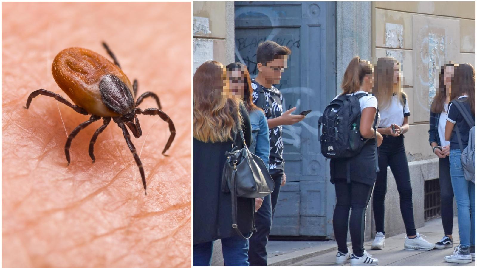 Pavia, zecche al liceo Taramelli: studenti a lezione in Università