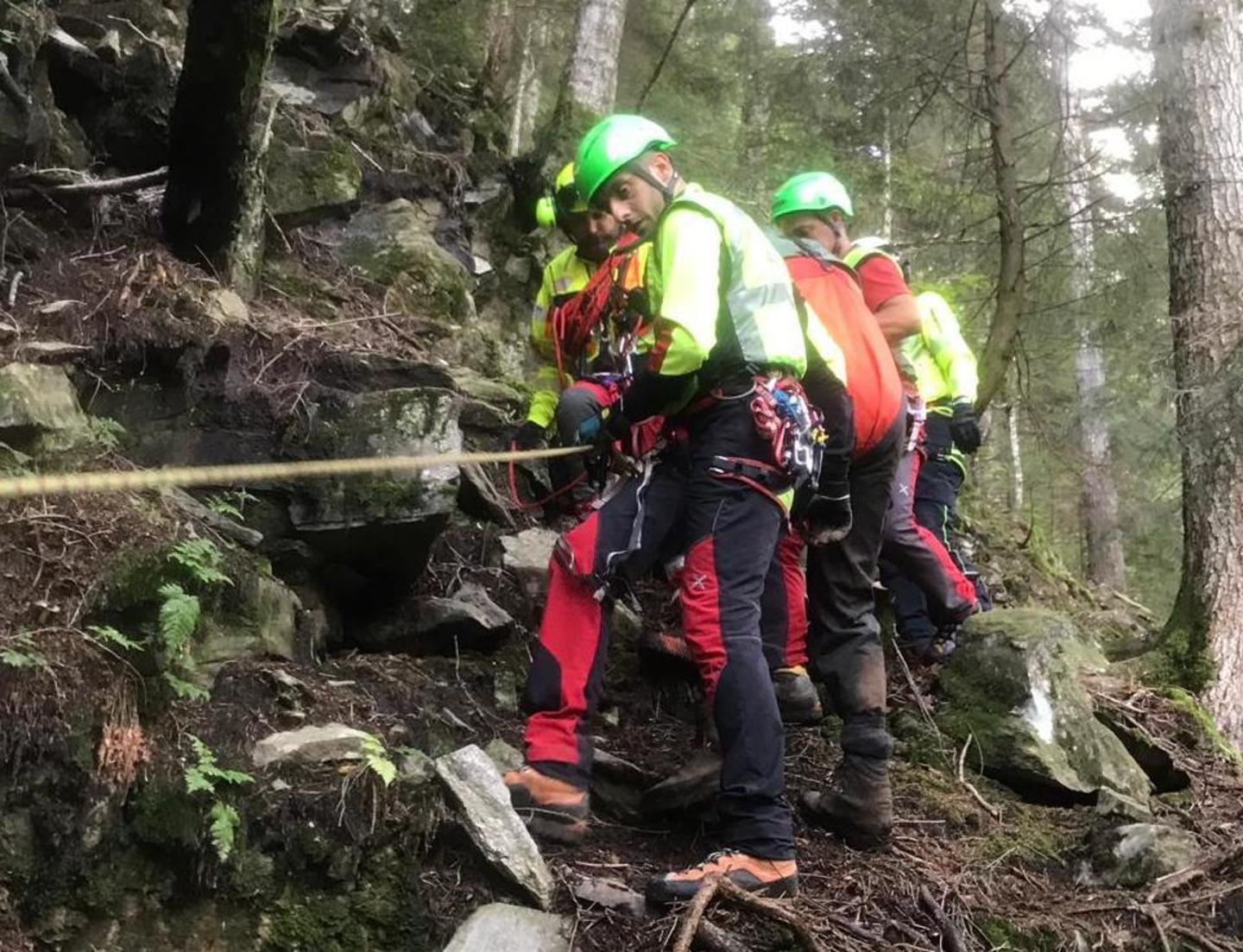 Cercatrice di funghi pavese trovata morta nel bosco: fatale la caduta in un canalone