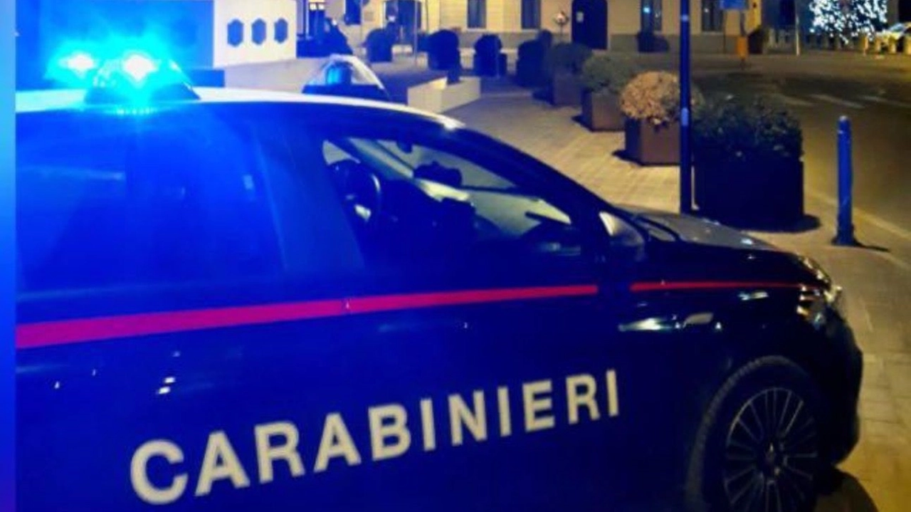 Sono intervenuti di carabinieri di Magnacavallo e di Quistello