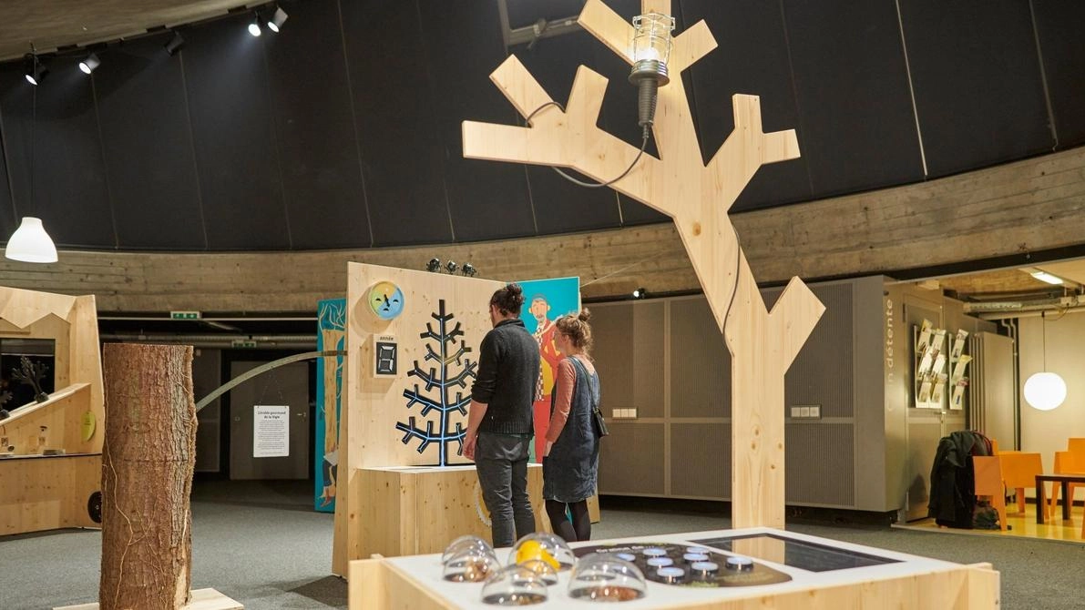 Il Museo in erba di Lugano presenta la mostra "A come albero. A come arte", un percorso interattivo che celebra l'importanza degli alberi nella nostra vita. Laboratori, incontri con artisti e eventi speciali per festeggiare i 25 anni del Museo.