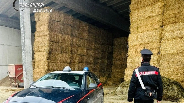 Carabinieri in azione a Marcaria (foto Carabinieri di Mantova)