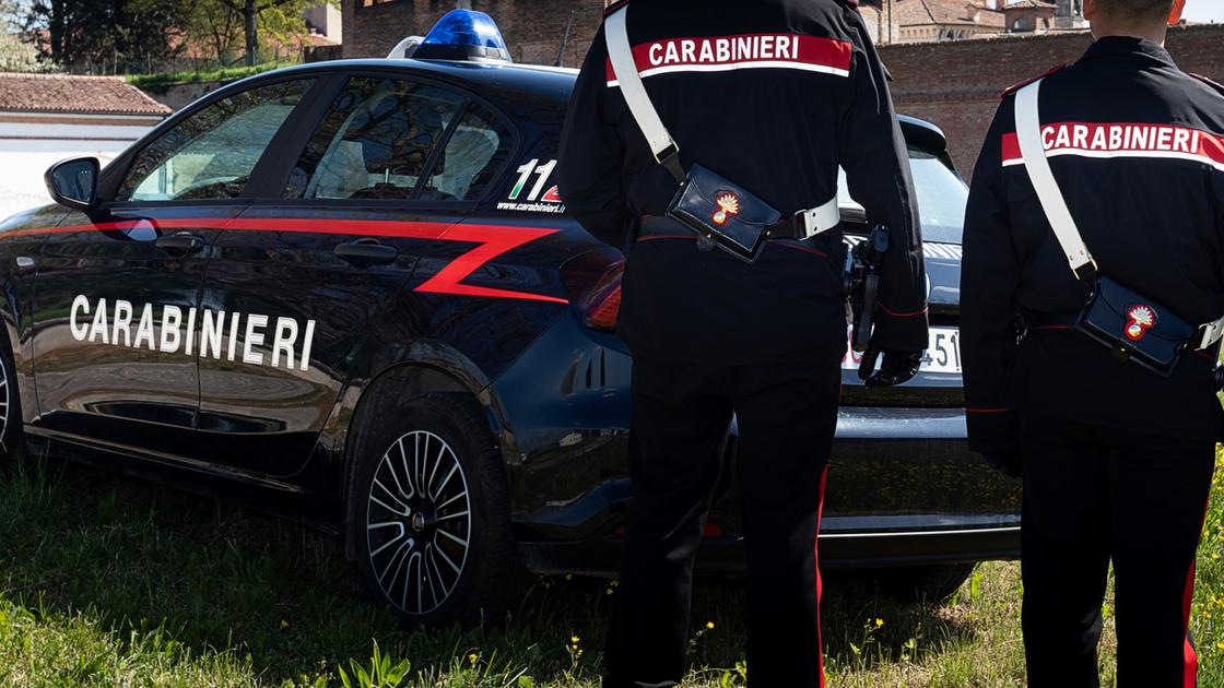 Rocambolesco inseguimento, di notte, per le vie di Medole: arrestato nonostante la fuga nei campi