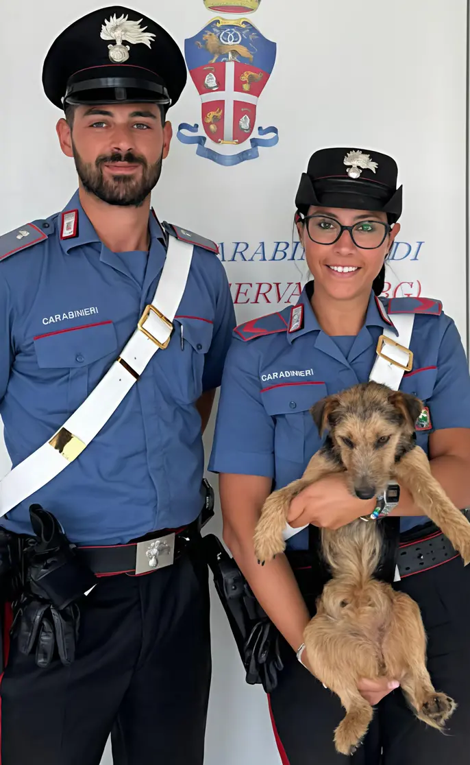 Militari salvano cagnolino perso: "Chi lo riconosce contatti l’Arma"