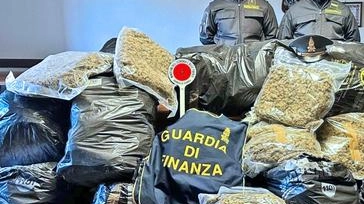 Infiorescenze, oli e resine derivati dalla cannabis, per un totale di 410 chili, importati illegalmente dalla Svizzera, di cui 280...