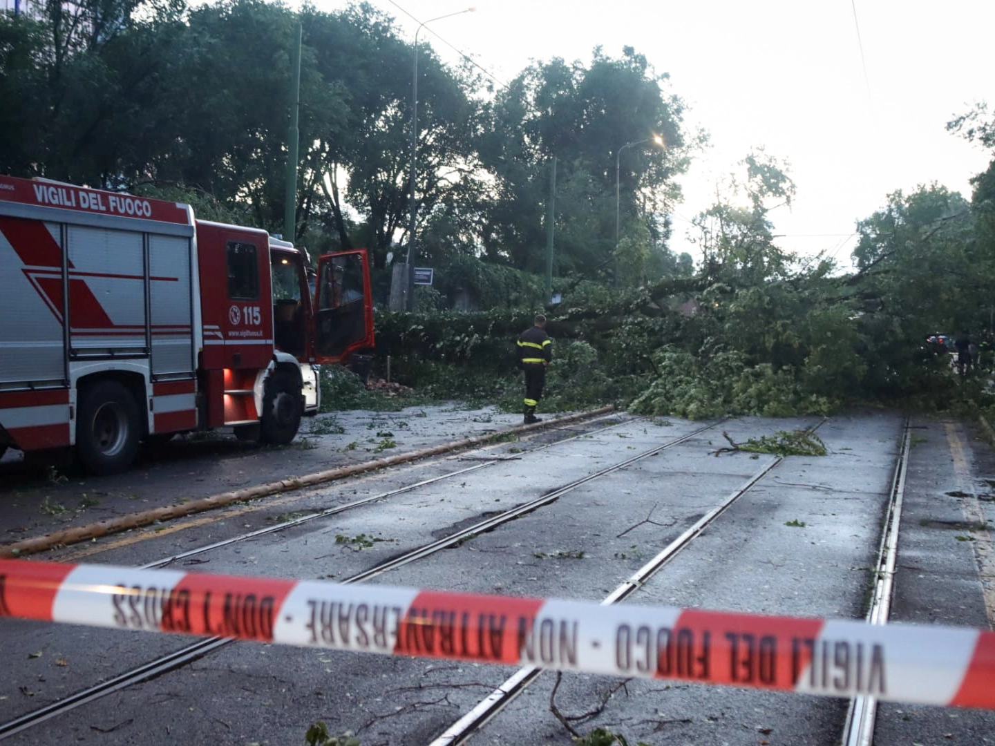 L'albero caduto in via Luigi Nono che ha interrotto la circolazione dei tram (Ansa/Paolo Salmoirago)
