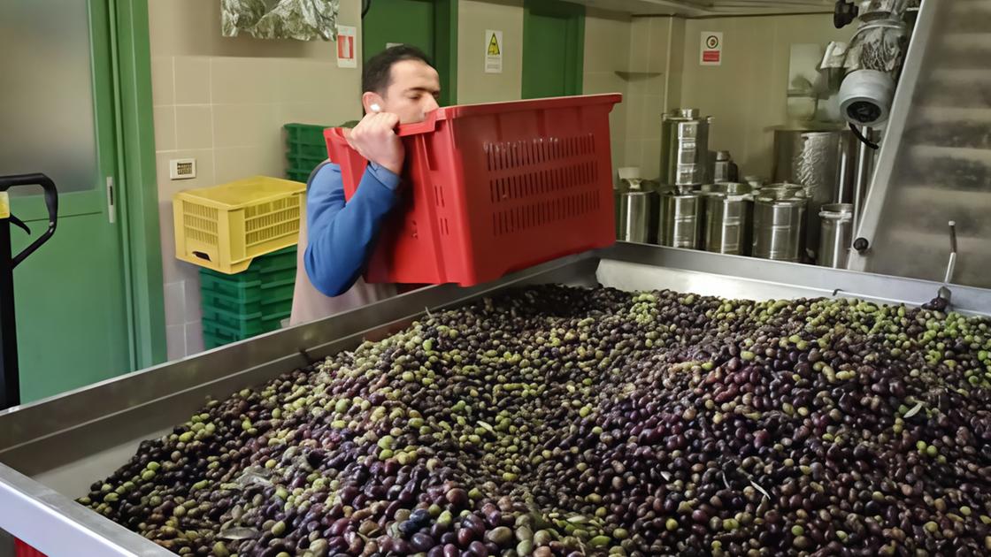 Cascina Clarabella. Il buono della terra e dell’inclusione