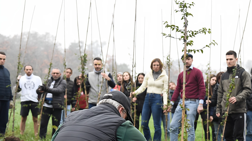 Nuovo bosco nel Parco di Monza grazie a donazioni di Avis e Rotaract. 200 alberi di Carpino orientale vicino a Villa Mirabellino per arricchire il patrimonio ambientale e paesaggistico. Progetto di conservazione a lungo termine coinvolge enti locali.