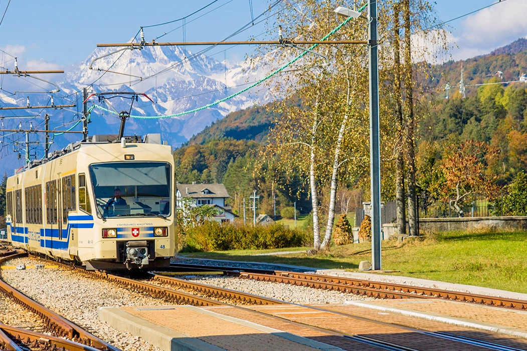 Treno della ferrovia Vigezzina-Centovalli (dal sito, foto Guerra)