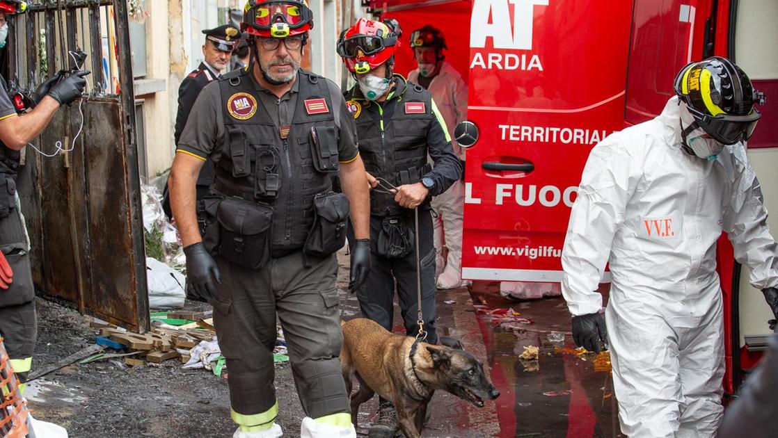 Strage allo showroom cinese, il cane Aika fiuta sostanze acceleranti di fiamma