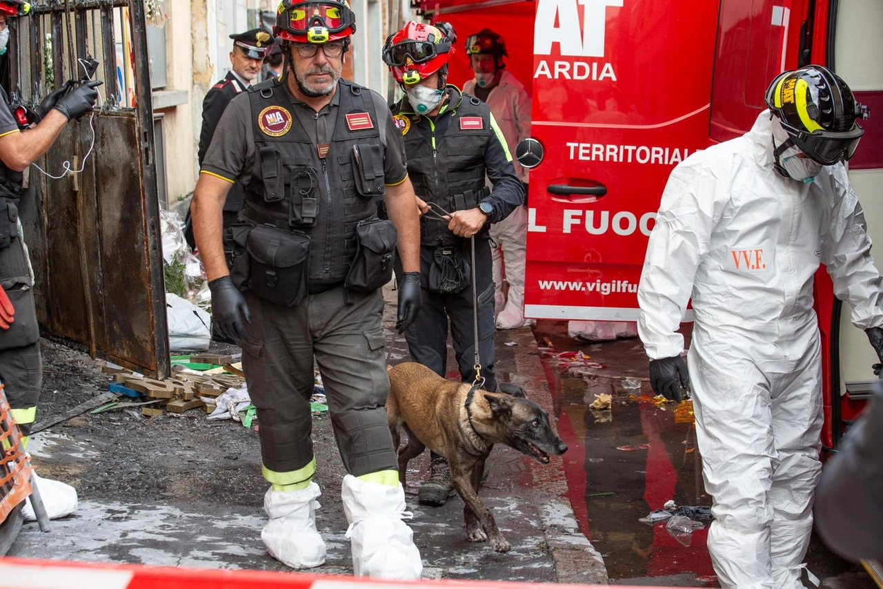 I vigili del fuoco col cane Aika questa mattina in via Cantoni, in zona Villapizzone