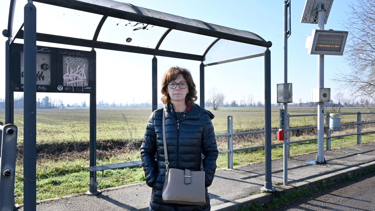 Emanuela Barenghi madre di tre studenti titolari di due abbonamenti annuali Atm e un abbonamento mensile Trenord