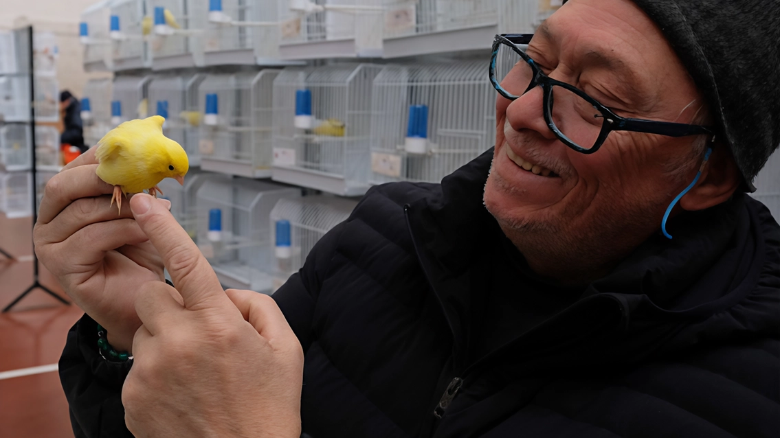 Piercarlo Redaelli di Besana ha appena vinto il titolo tricolore dopo il Mondiale nel 2023 "Tutto è iniziato da bambino nella fattoria del nonno, ora studio anche nuove specie".