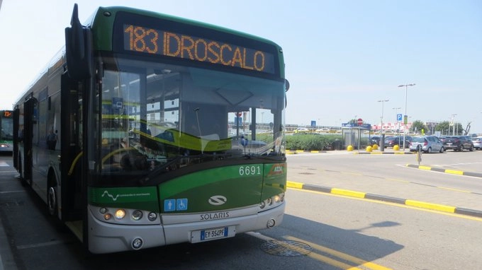 Bus 183 Atm per l'Idroscalo di Milano (foto Twitter Atm)