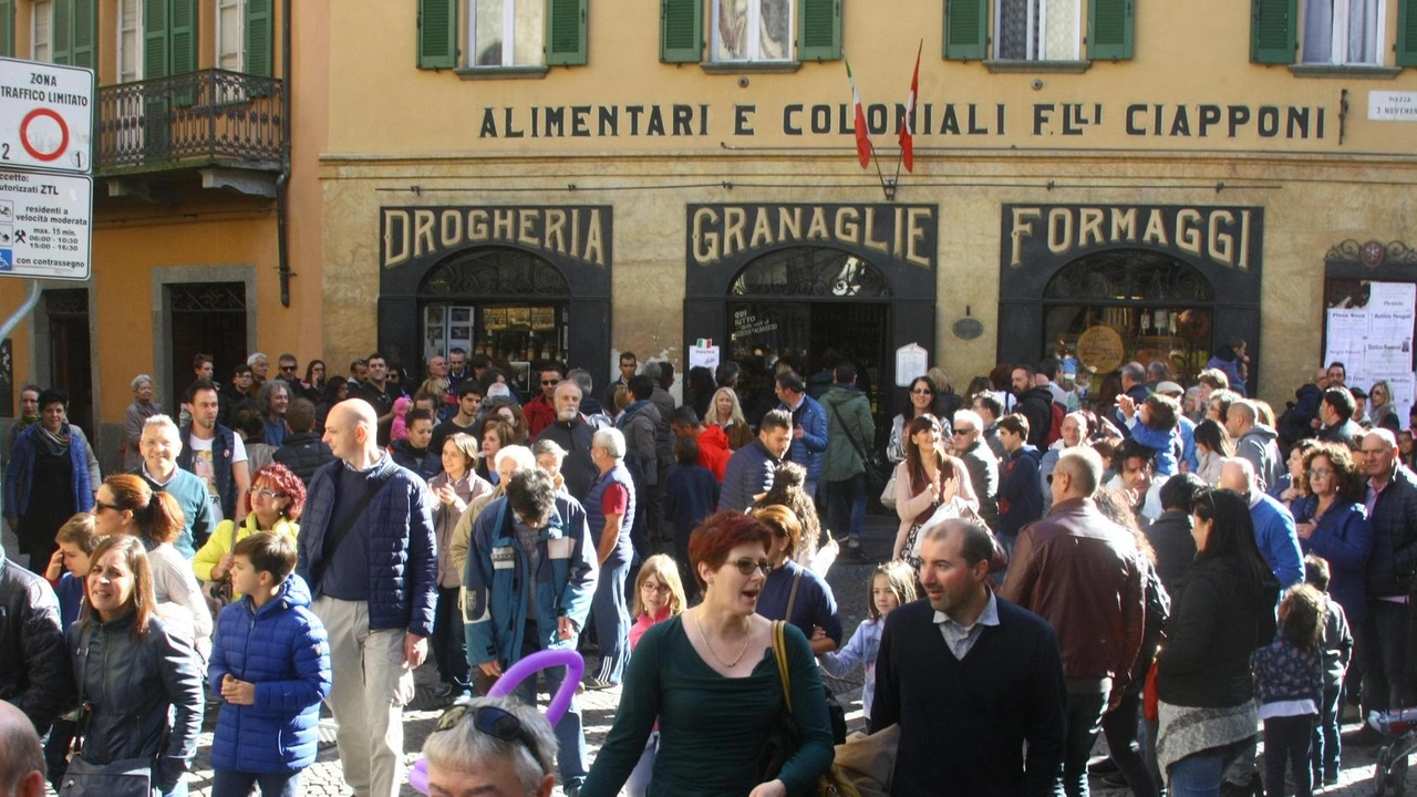 A Morbegno si svolgeranno due weekend di "Morbegno in Cantina" seguiti dalla Mostra del Bitto, giunta alla 117ª edizione. Degustazioni, eventi culturali e convegni sul ruolo delle denominazioni di origine nel settore lattiero-caseario nazionale animeranno l'evento.