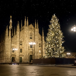 Libri sotto l’albero, Milano in 7 sensi. Dai cachi di Verdi all’arte di ridere