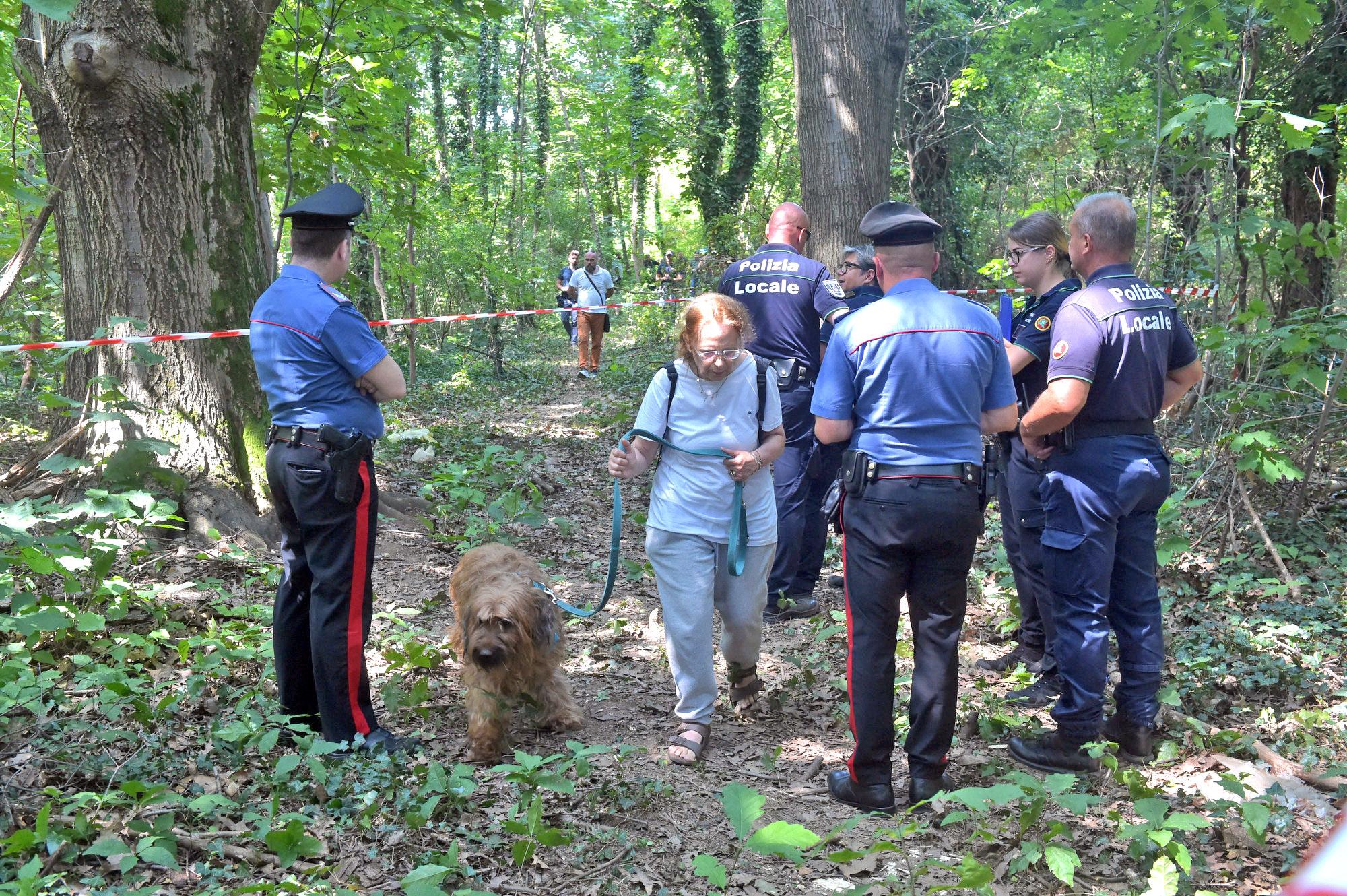 Lo scempio del boschetto di Gallarate: “Una scelta scellerata, il verde non va sprecato”