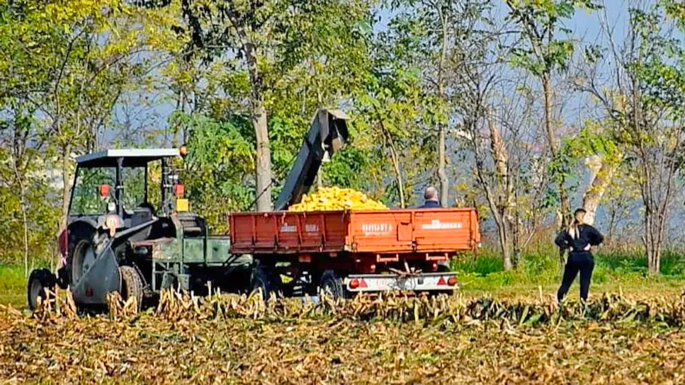 L’87enne papà di Norberto Luigi Viviani iscritto nel registro degli indagati per omicidio colposo: un atto dovuto. È lui il proprietario del terreno agricolo dove è avvenuta la tragedia. Disposta l’autopsia