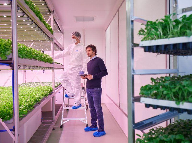 Planet Farms, l’araba fenice. Il rogo e la rinascita green