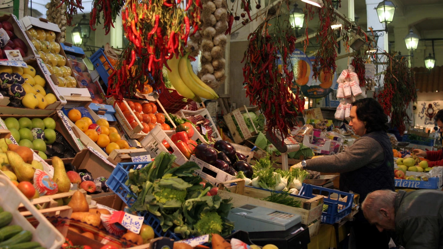 Milano, in viale Monza apre un nuovo hub contro lo spreco del cibo