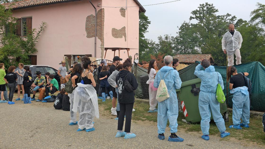 Il Tar respinge il ricorso, zero rimborsi per i maiali uccisi. Le associazioni animaliste: ricorreremo al Consiglio di Stato”