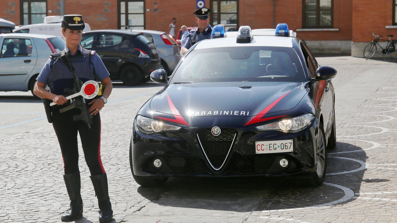 Chi avvistasse la donna con il piccolo è pregato di avvisare i carabinieri