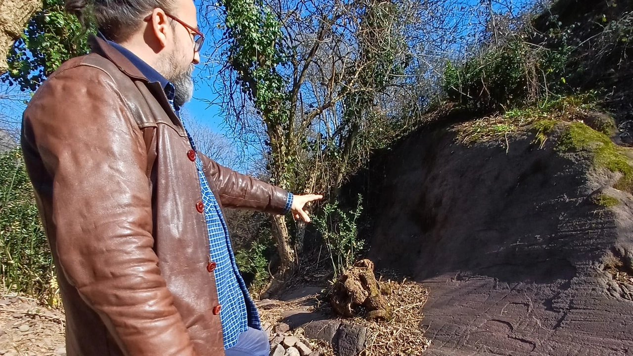 Virgilio Patarini mostra la nuova roccia portata alla luce nel parco di Luine