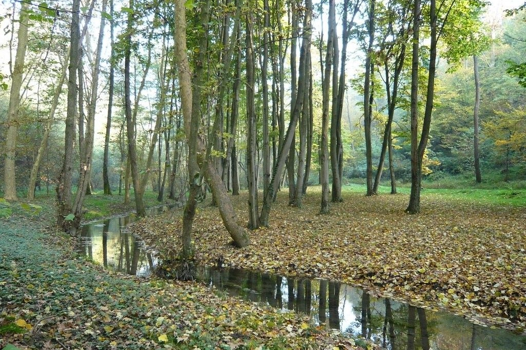 La riserva naturale Fontana del Guercio a Carugo (Como)