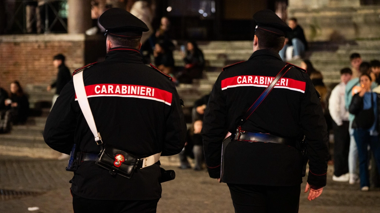 Sugli episodi indagano i carabinieri