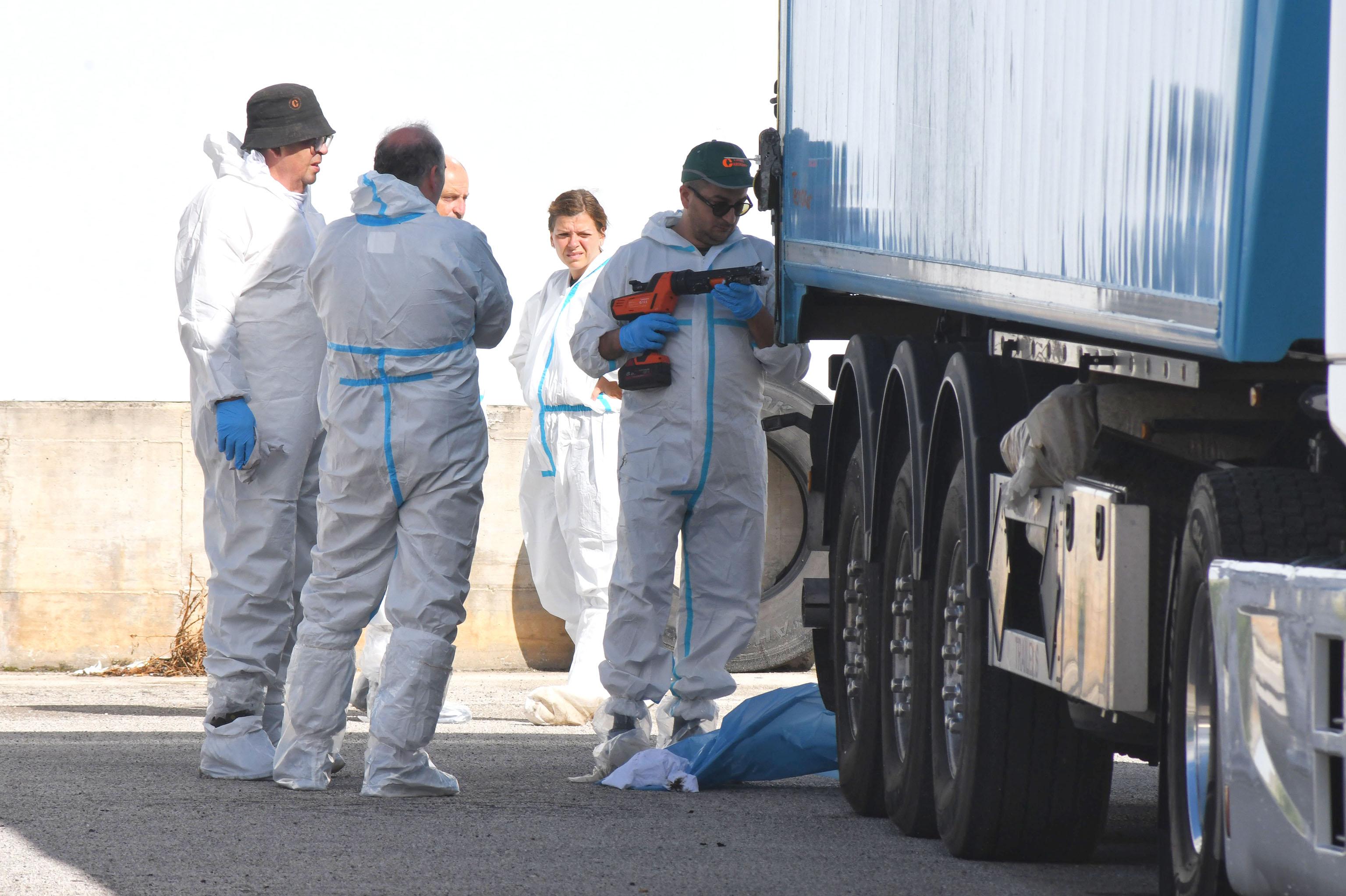 Peste suina, liquami e sangue infetto di 170 animali abbattuti nel Lodigiano sversati dai camion sull’asfalto