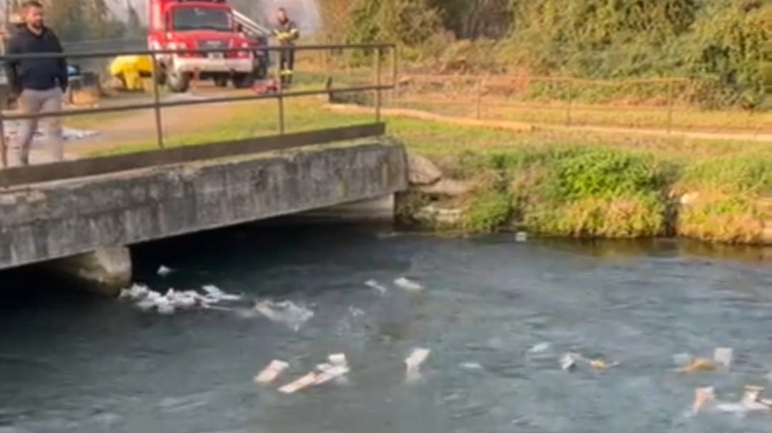 I Gratta e vinci buttati nel fiume