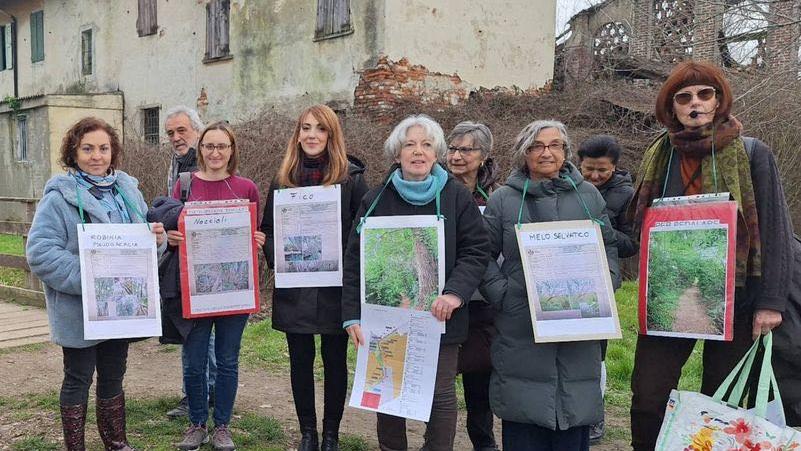 Milano, il comitato che difende i 78 alberi minacciati dalle motoseghe al Parco Ticinello manda una diffida al Comune