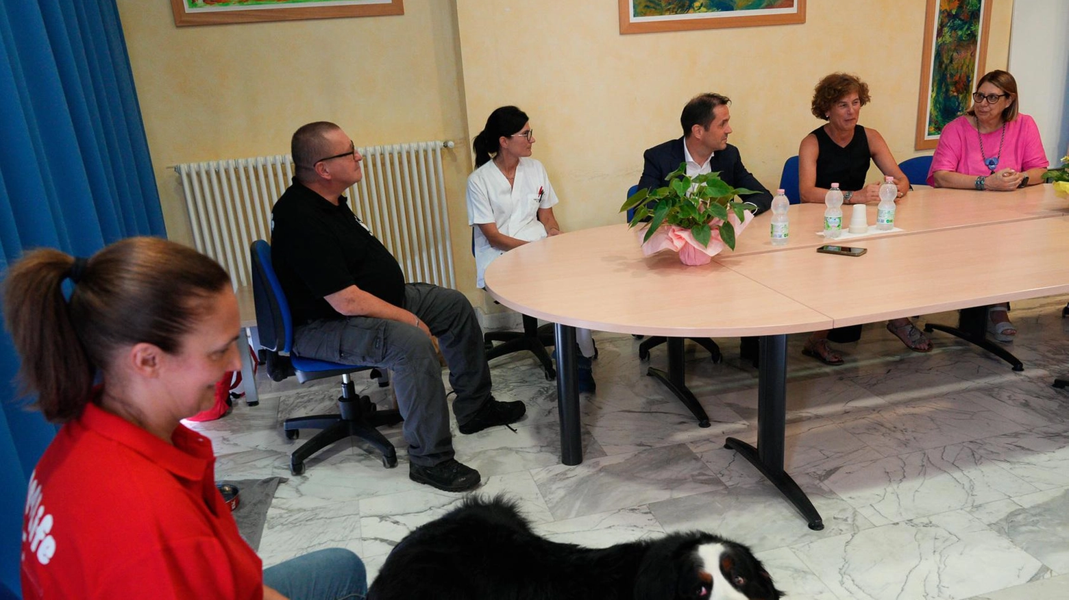 Il servizio attivato all’ospedale di Casalpusterlengo con un bovaro del Bernese e un labrador