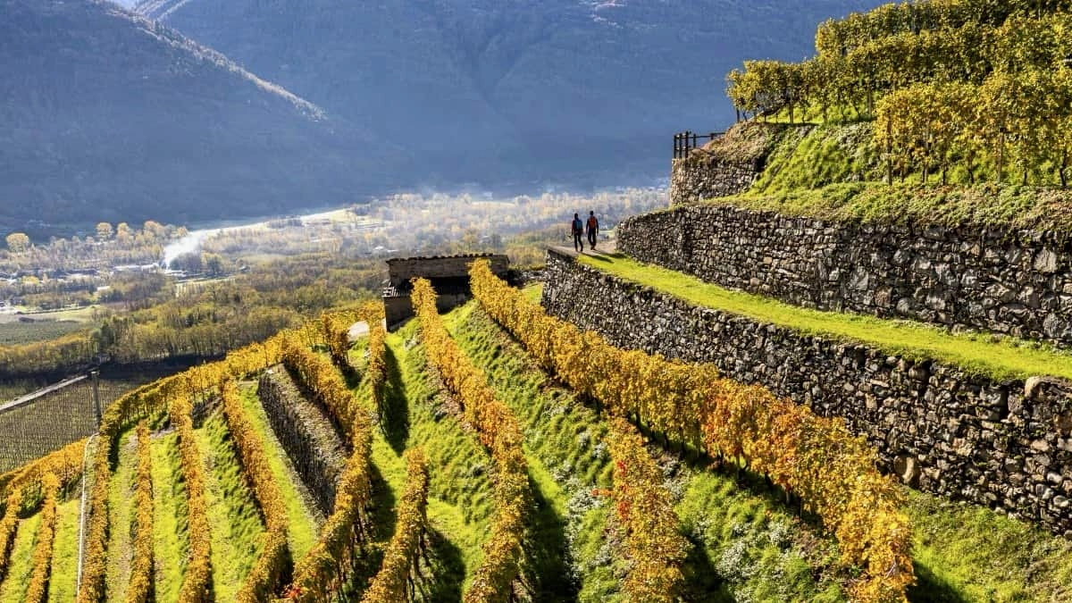 La via dei terrazzamenti in Valtellina