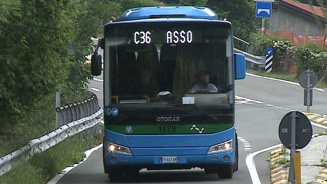 Bus della linea C36 Asso Bellagio