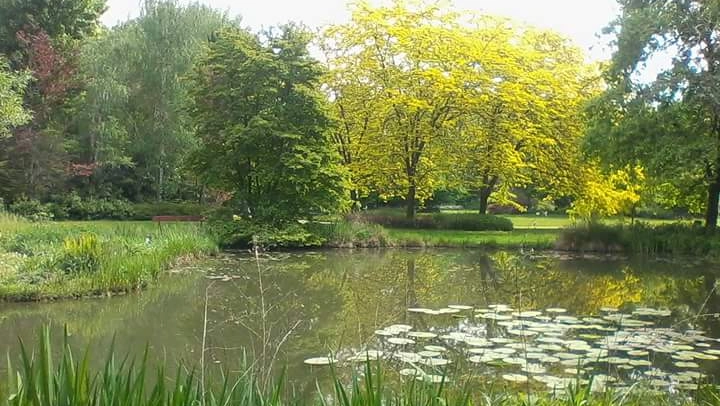 L'orto botanico di Città Studi