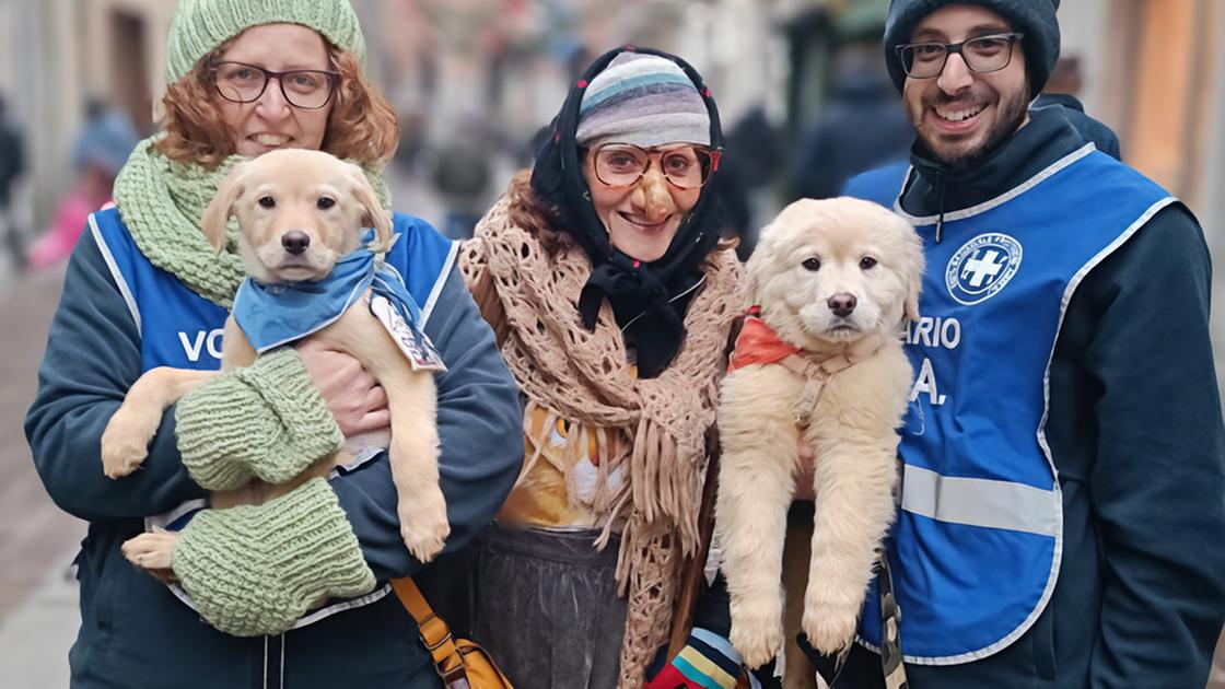 Anche l’Enpa nei panni della befana. Per aiutare cani e gatti abbandonati tante speciali iniziative in costume