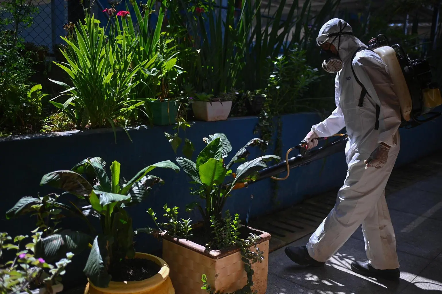 Caso di Dengue. Intervento anti-zanzare