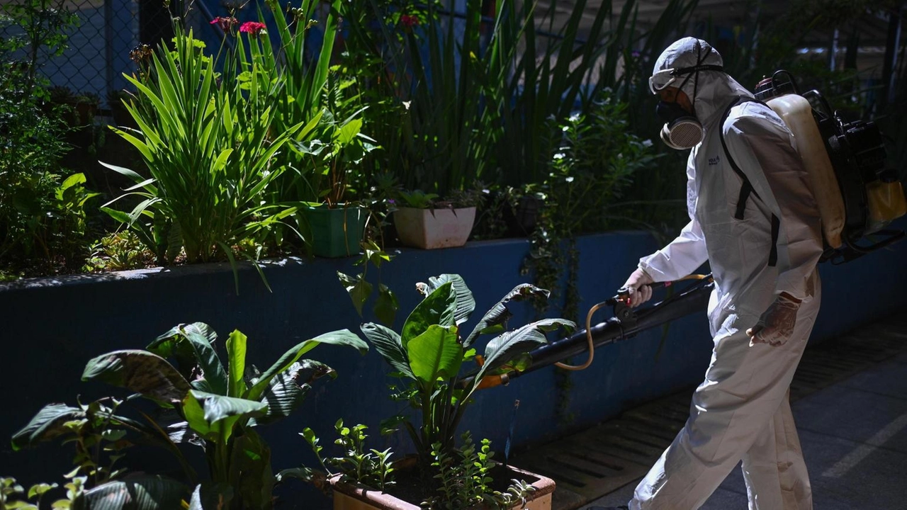 A Brescia intervento di disinfestazione al Quartiere Primo Maggio per un caso di febbre da Dengue. Misura preventiva per contenere zanzare vettori del virus.