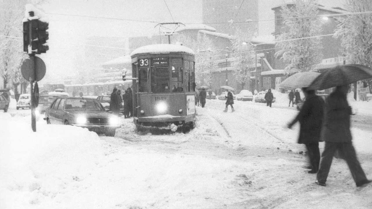 La nevicata straordinaria del gennaio 2025