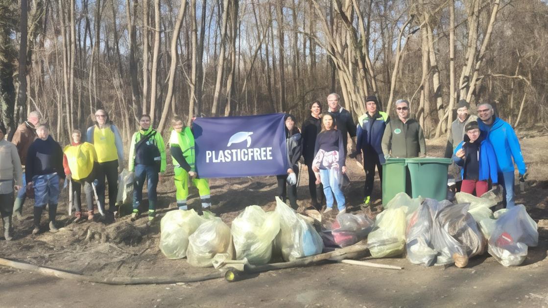 Palude Bruschera ridotta a discarica. I volontari le ridanno dignità