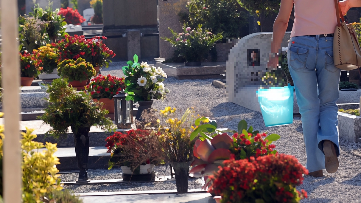 Furto di fiori al cimitero. Sparito un bouquet di rose simbolo di amore eterno