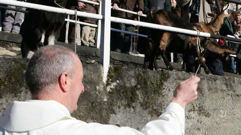 È tutto pronto a Montagna dove domani si terrà la festa di Sant’Antonio Abate, uno dei padri della chiesa d’oriente...