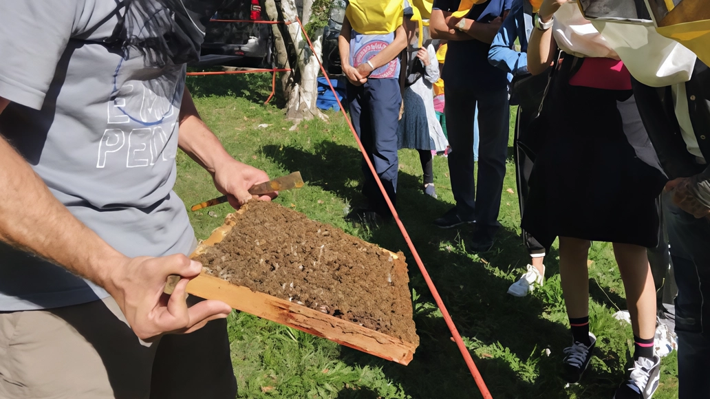 La festa delle api a Ponte Lambro . Mercato, animazione e concerti